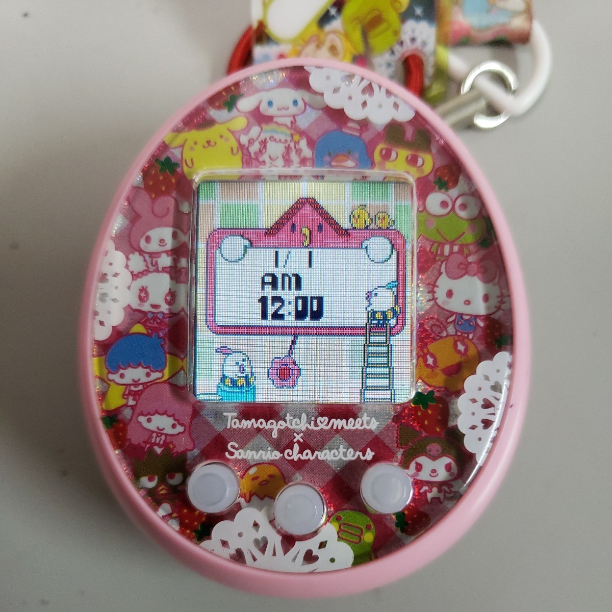 509y0808☆Tamagotchi meets (たまごっちみーつ) サンリオ