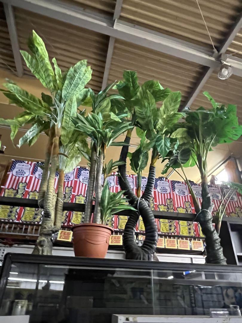 ost 最終 赤字 DIY フェイクグリーン 4本セット リゾート 南国　200cm超え