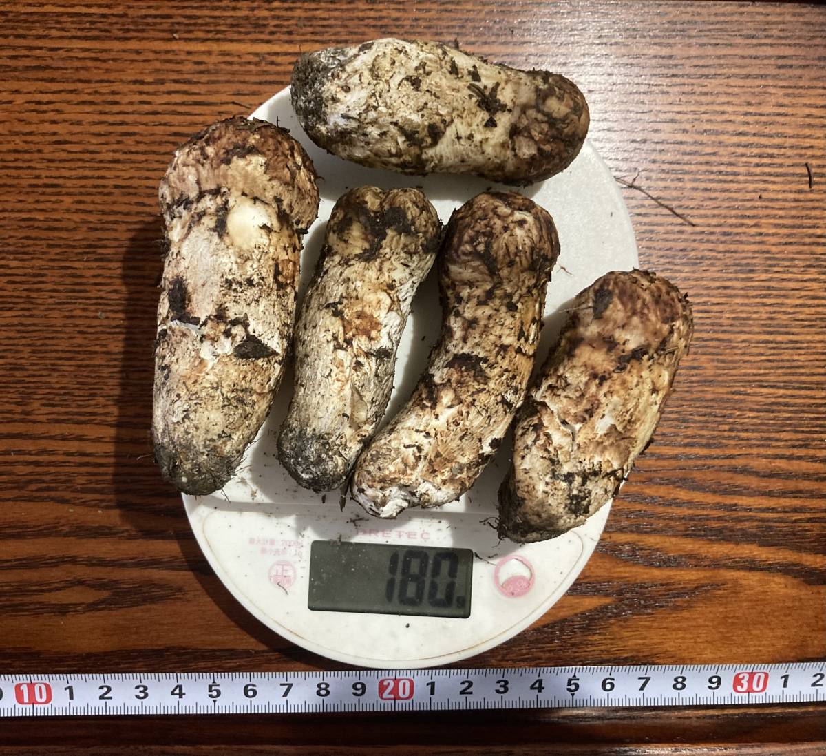 初モノ♪ 北海道（阿寒）産松茸 北海道産松茸 マツタケ初競り、丹波篠山産