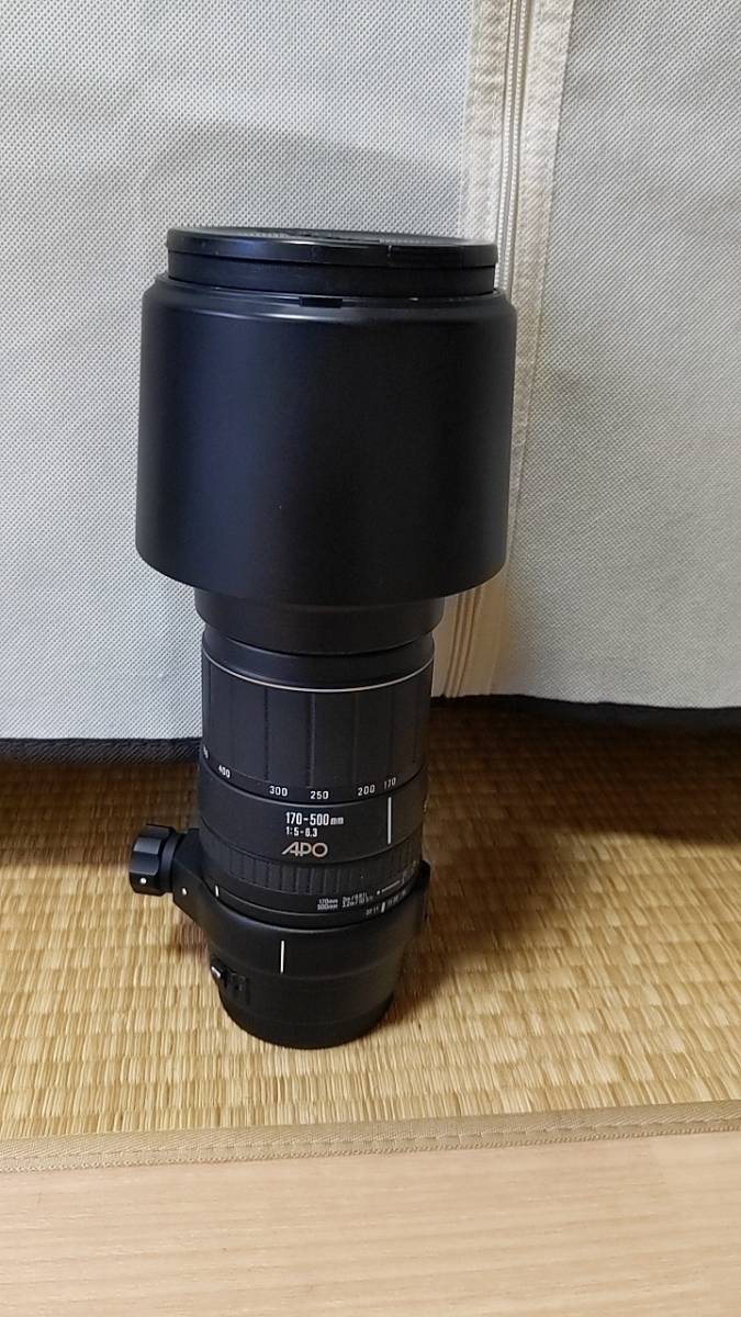 シグマ SIGMA APO 170-500mm F5-6.3 CANON APO 170-500mm シグマ