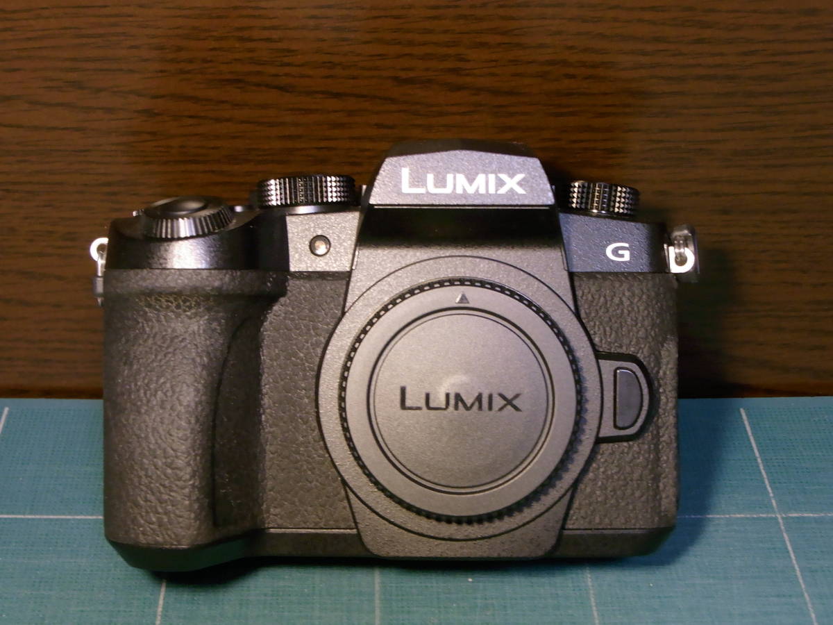 美品 ショット数904】 Panasonic LUMIX DC-G99 カメラバッグ付 