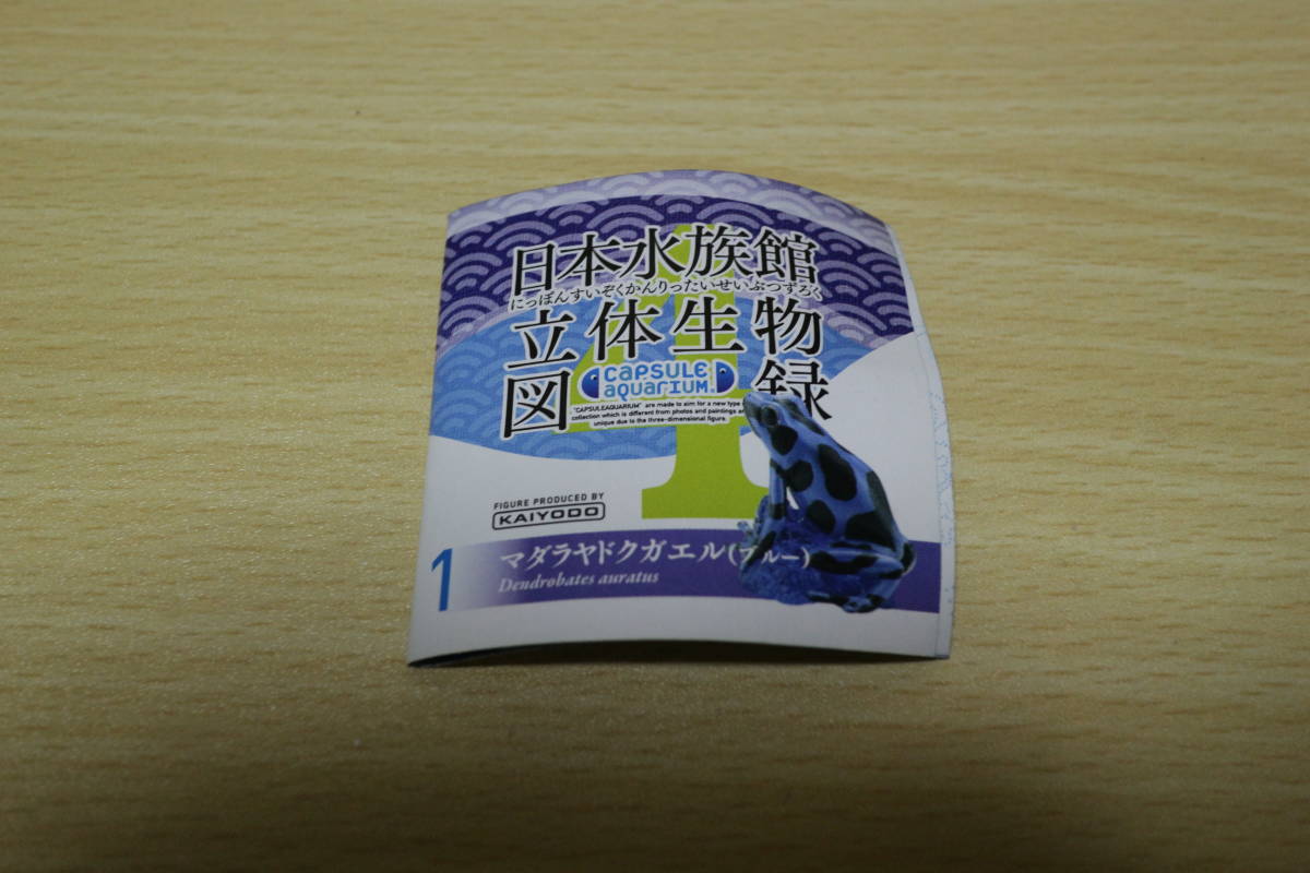 海洋堂 日本水族館 立体生物図録 第4巻 1 マダラヤドクガエル ブルー 