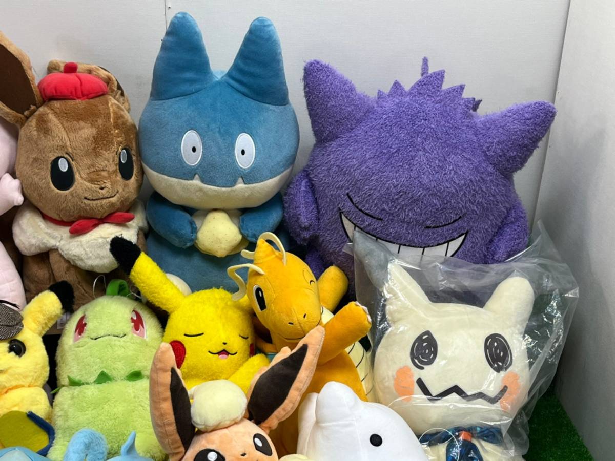 《KhK-02》Monstera adansonii variegata モンステラ アダンソニー マドカズラ斑入り/フィロデンドロン アンスリウム オブリクア  Yahoo!オークション -「ホマロメナ 斑入り」の落札相場・落札価格