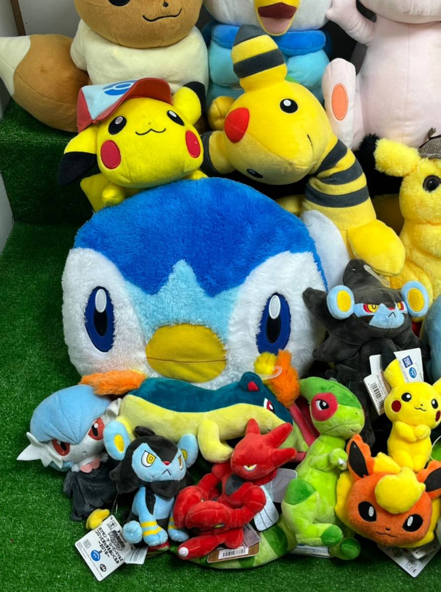 《KhK-02》Monstera adansonii variegata モンステラ アダンソニー マドカズラ斑入り/フィロデンドロン アンスリウム オブリクア  Yahoo!オークション -「ホマロメナ 斑入り」の落札相場・落札価格