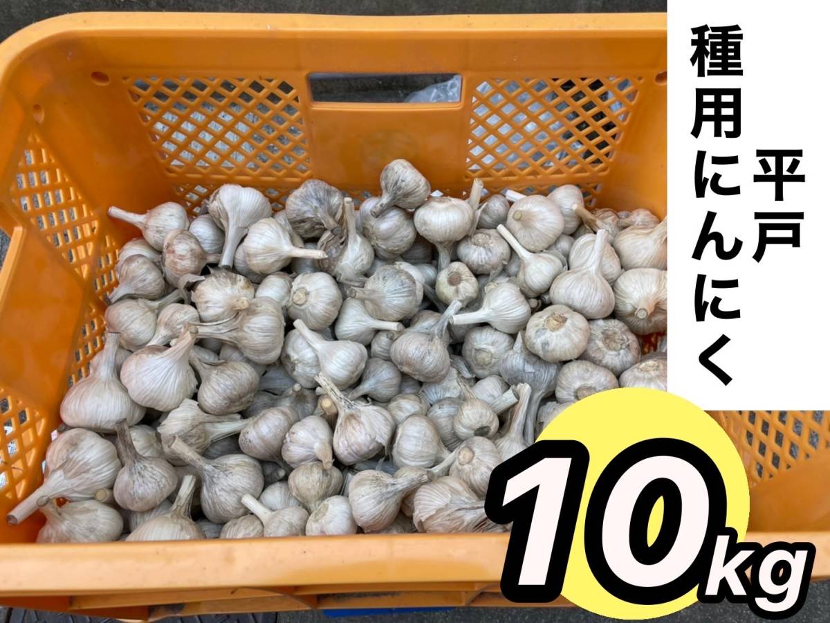種にんにく 平戸 種用ニンニク 平戸ニンニク 10kg S～Mサイズ