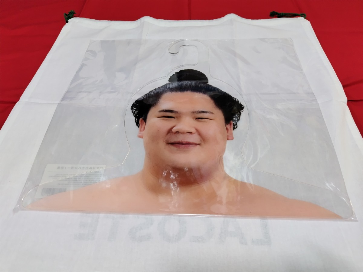 大相撲 力士アクリルハンガー 宇良関