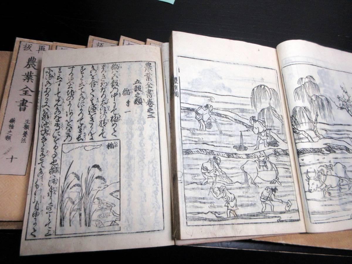 ★T13和本江戸天明再版農書「農業全書」11冊揃い/宮崎安貞/貝原楽軒/貝原益軒/絵入古書古文書/木版摺り_3