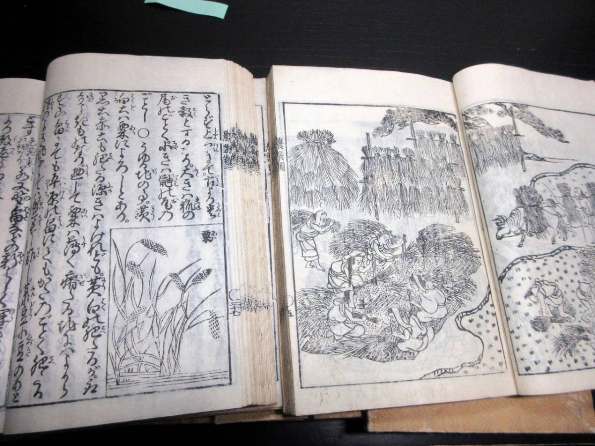 ★T13和本江戸天明再版農書「農業全書」11冊揃い/宮崎安貞/貝原楽軒/貝原益軒/絵入古書古文書/木版摺り_4