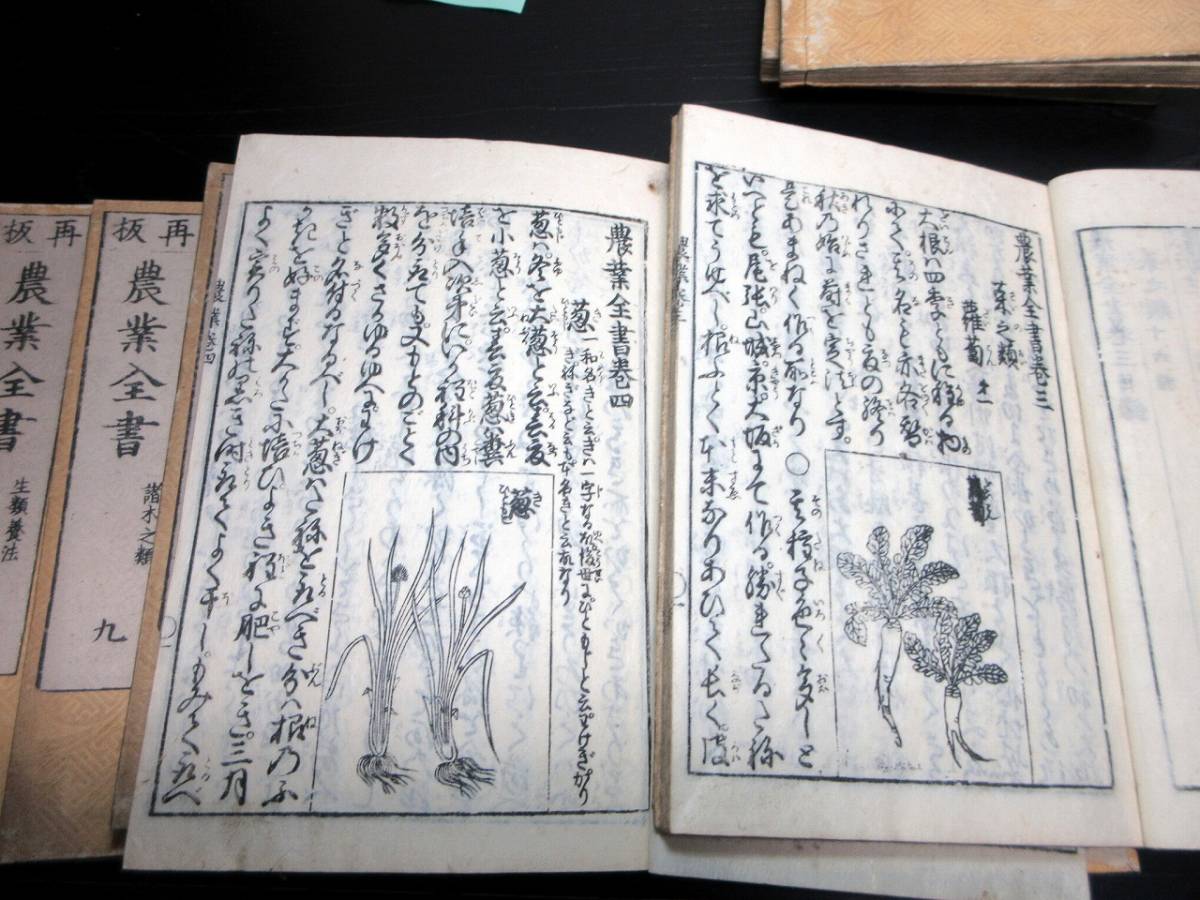 ★T13和本江戸天明再版農書「農業全書」11冊揃い/宮崎安貞/貝原楽軒/貝原益軒/絵入古書古文書/木版摺り_5