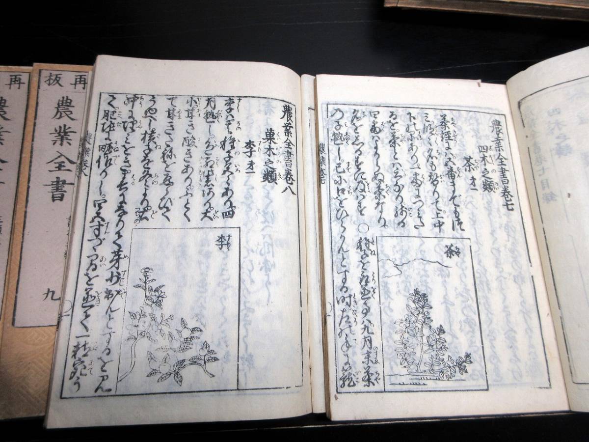 ★T13和本江戸天明再版農書「農業全書」11冊揃い/宮崎安貞/貝原楽軒/貝原益軒/絵入古書古文書/木版摺り_7