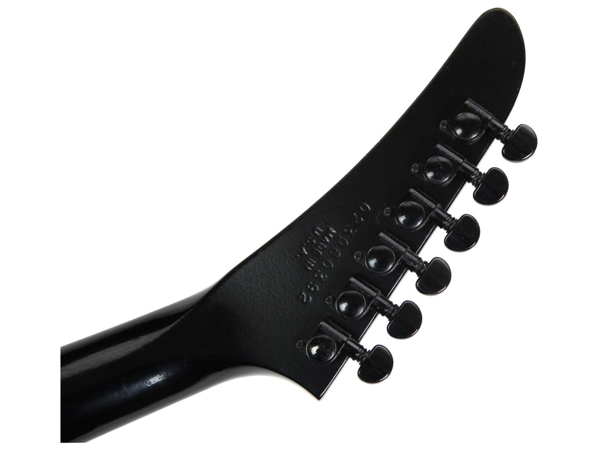Gibson Explorer ハードケース ブラックパイソン エクスプローラー