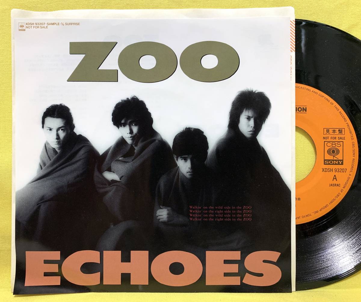 見本盤□美盤□ECHOES□ZOO&frasl;SURPRISE□フジTV「愛をください」