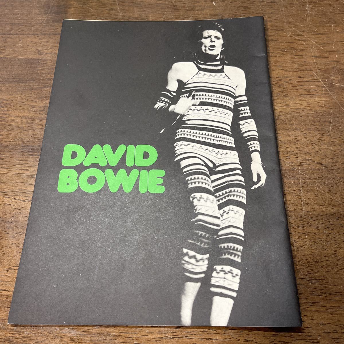 デビッド・ボウイ DAVID BOWIE/ RCA 冊子