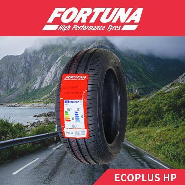 2本セット 175/65R15 2023年製造 新品サマータイヤ FORTUNA ECOPLUS HP