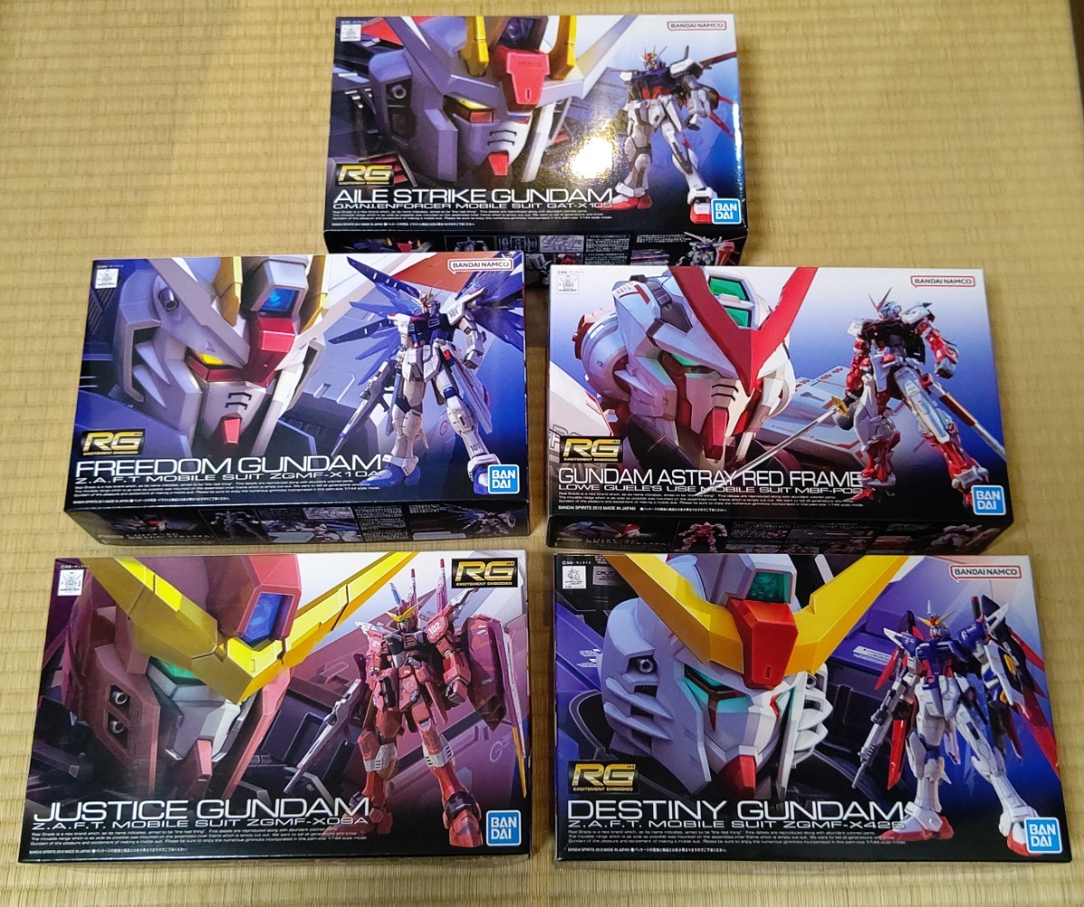 RG 1⁄144 未組立 Gundam Freedom 機動戦士ガンダムSEED Strike