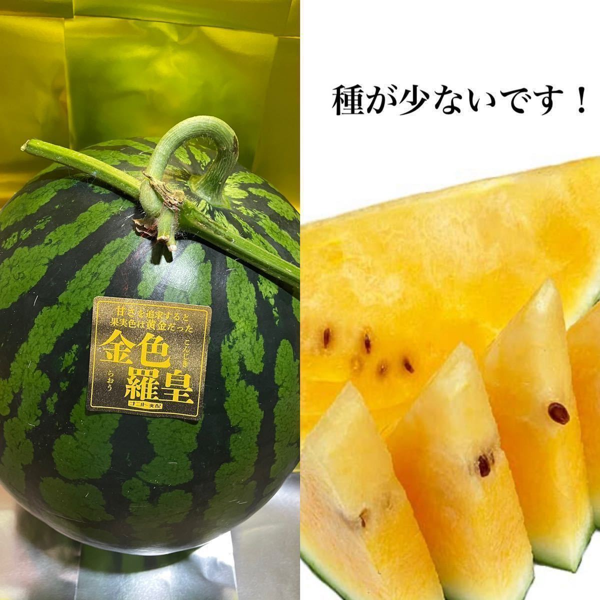 激レア！大玉スイカの最高傑作【金色羅皇】2Lサイズ（7〜8kg）熊本植木産 熊本フルーツ堂6
