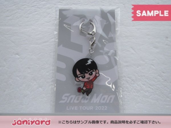Snow Man 宮舘涼太 LIVE TOUR 2022 Labo. すのチルぶら下がりシリーズ (アクリルキーホルダーver.) 未開封 [美品]