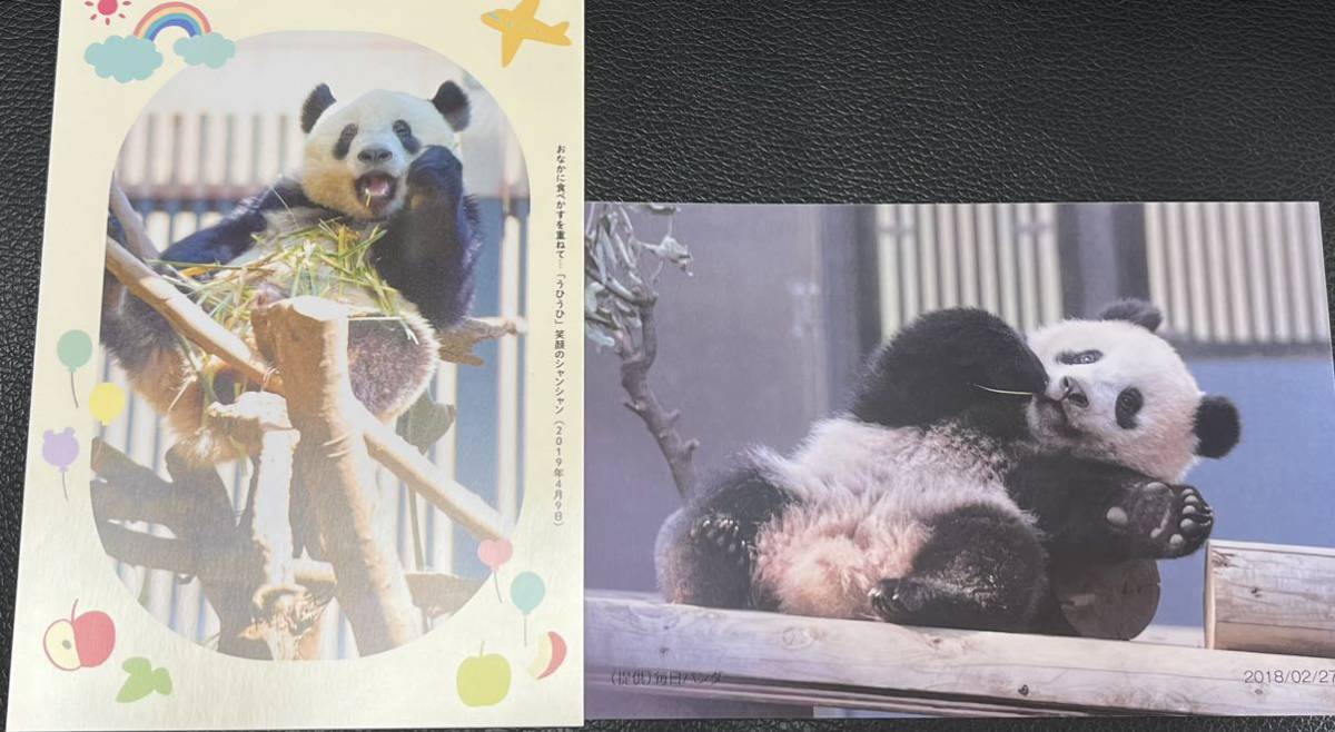 920日 シャンシャン ポストカード ノベルティ 松坂屋 非売品 上野動物園 2018.02.27 ポストカードセット