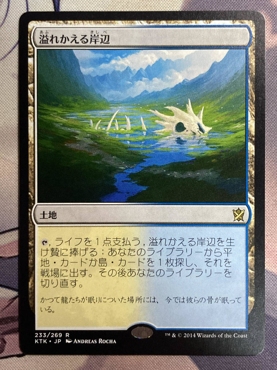 溢れかえる岸辺 日本語 溢れかえる岸辺⁄Flooded Foil《溢れかえる岸辺