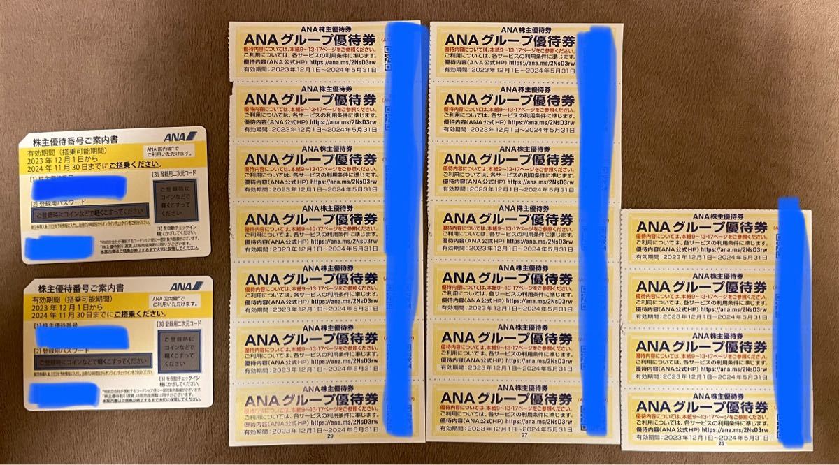 全日空 ANA 株主優待 2枚 ( 24年11月30日まで ) ANAグループ優待券