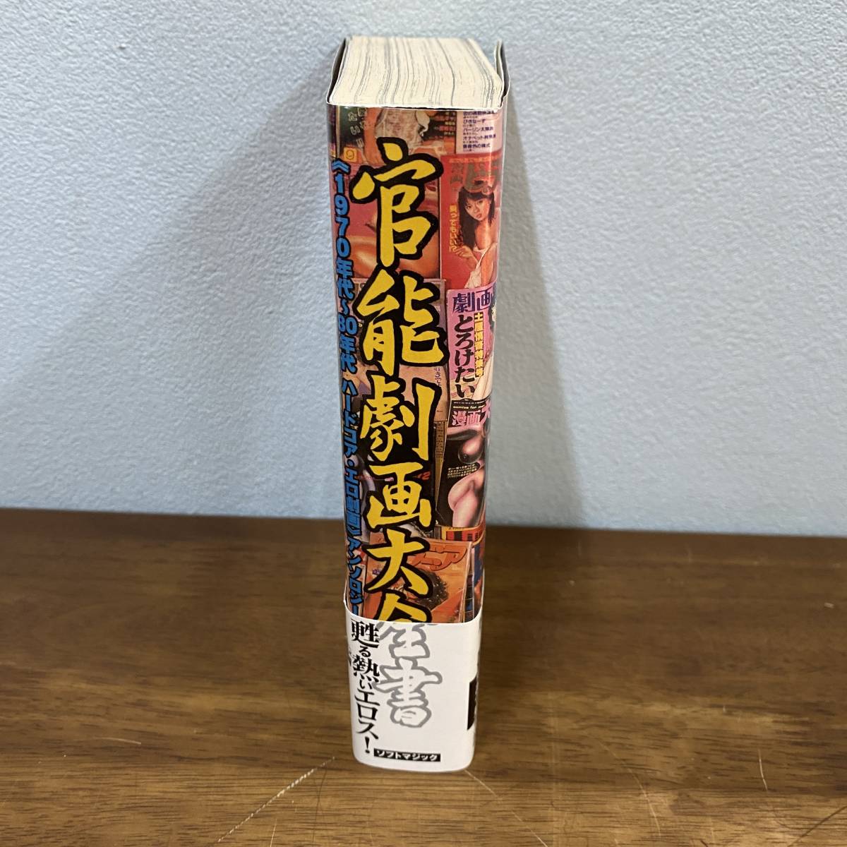 官能劇画大全書 ソフトマジック 1970年～80年代ハードコア・エロ劇画 