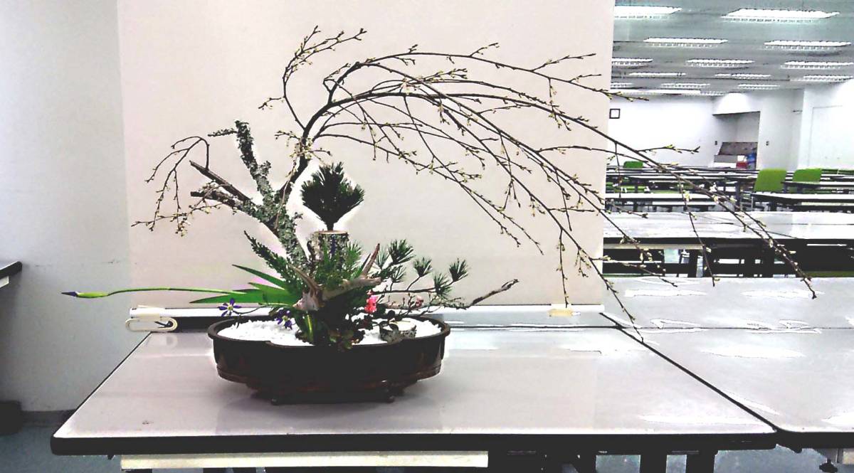 池坊 いけばな 銅鋳造 水盤 銅花器 公式通販 池坊花器愛される水盤銅器