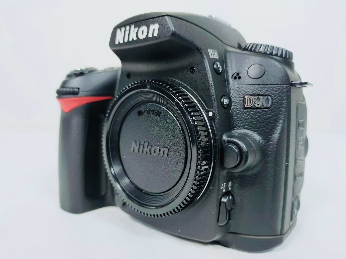 ニコン D300+ AF-Sニッコール18-55mm VRレンズのセット 現状品使用可能