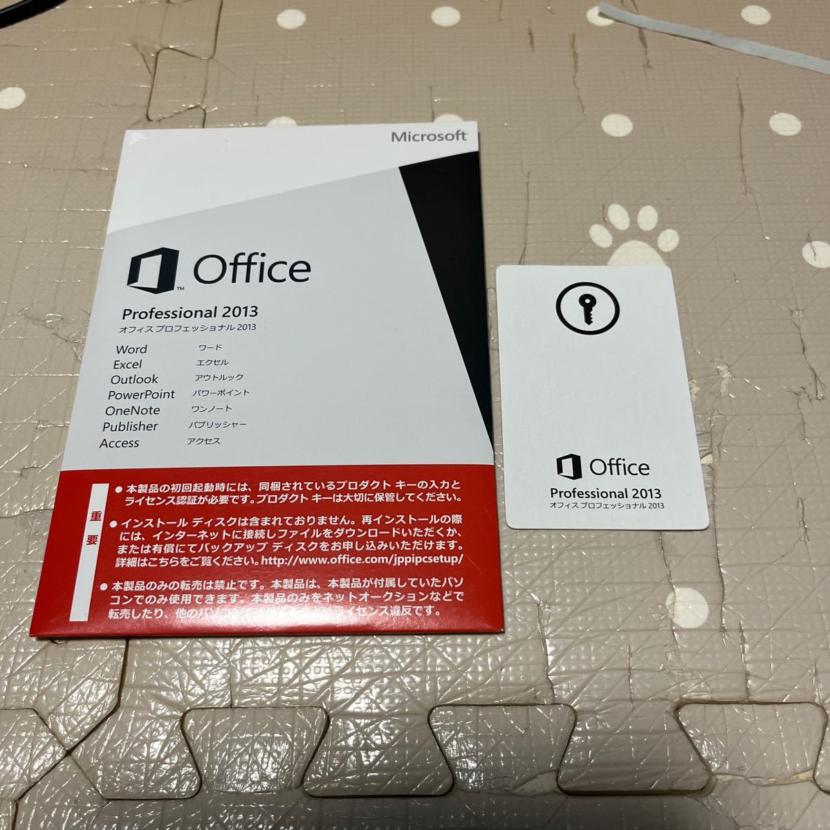 Microsoft Office Professional 2013 OEM版