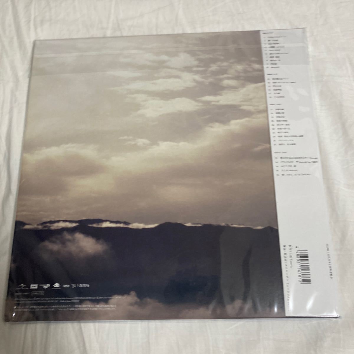 君の名は。天気の子 RADWIMPS アナログ盤レコード LP 重量盤レコード 天気