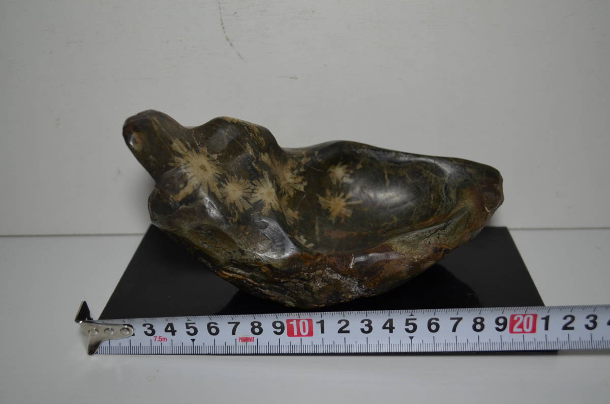 古美術 菊花石 飾石 天然石 約10.4kg 盆石 鑑賞石 鑑賞石 菊花石 水石 盆石 (検 骨董品/化石/天然石/原石/鑑賞石/飾石