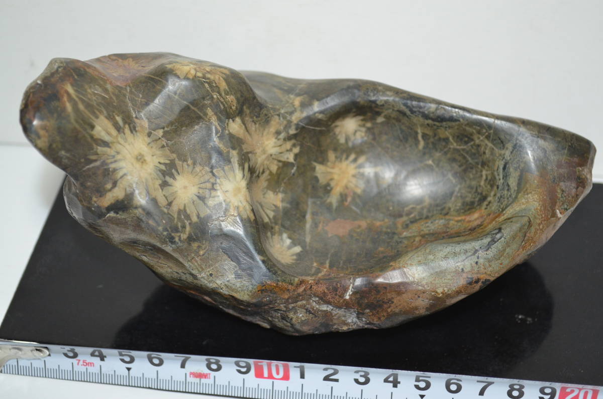 鑑賞石 菊花石 水石 盆石 (検 骨董品/化石/天然石/原石/鑑賞石/飾石