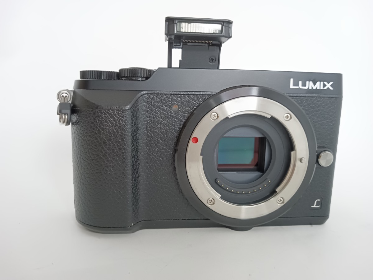 Panasonic パナソニック LUMIX DMC-GX7MK2 ミラーレス一眼 富22 【公式 