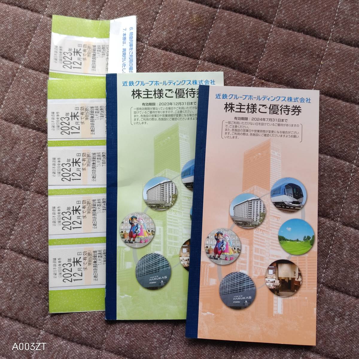 近鉄グループホールディングス株主優待券12月末まで乗車券5枚と、優待券12月末まで分と、24年7月末まで分