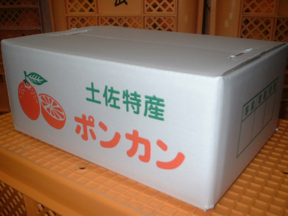 『ヤマデ農園』☆農家直送☆南国高知のポンカン家庭用サイズM☆_3