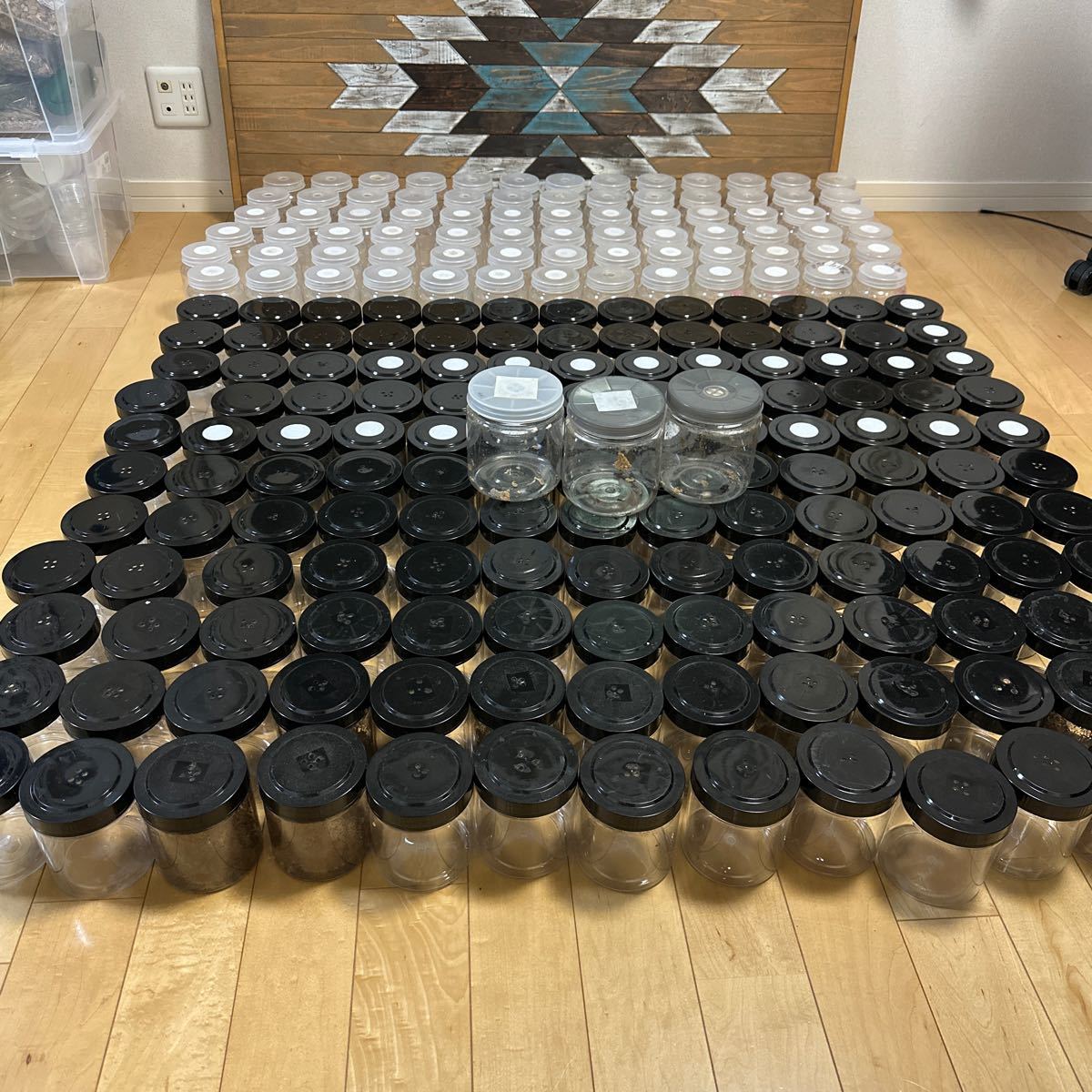 菌糸ボトル　中古品　美品　_1