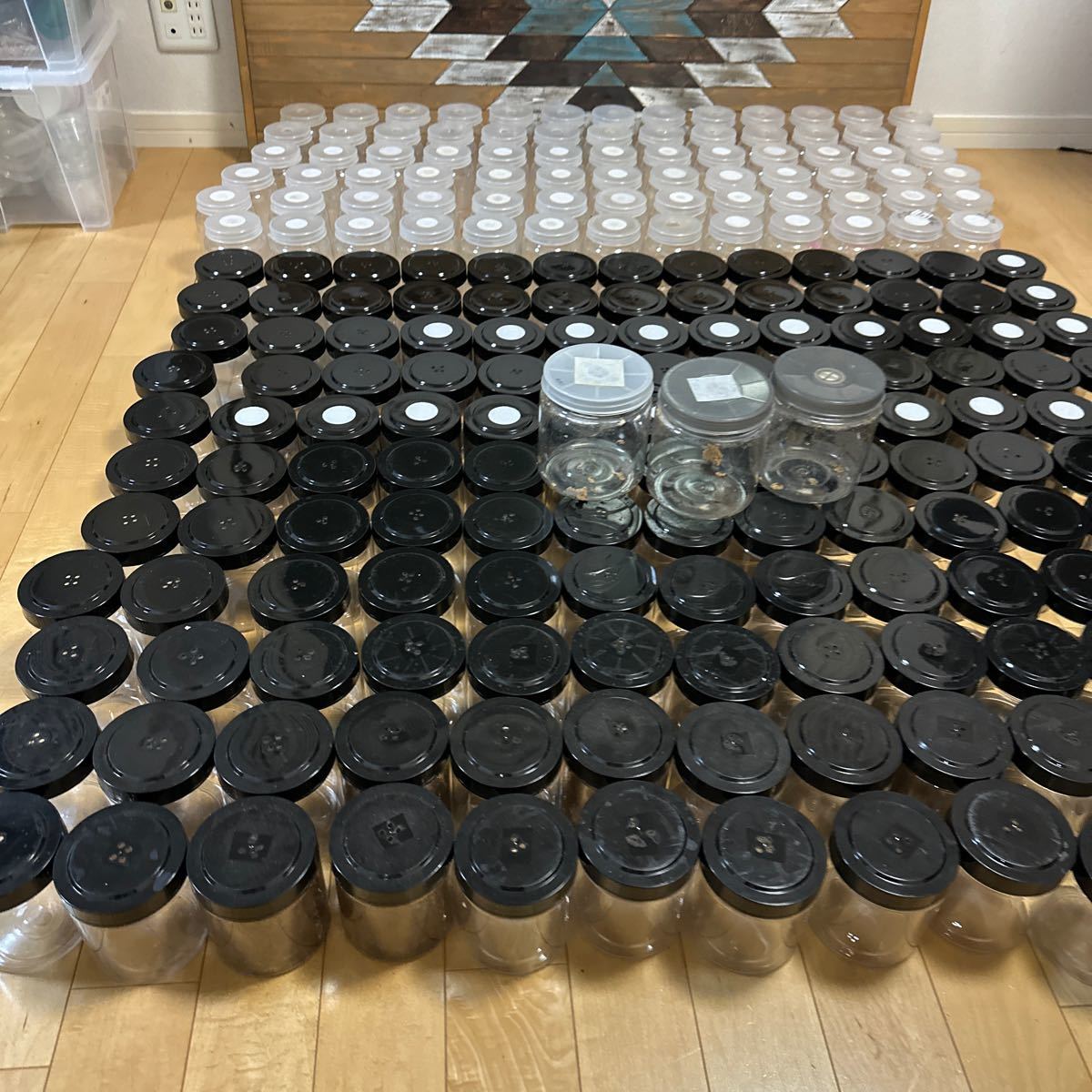 菌糸ボトル　中古品　美品　_2