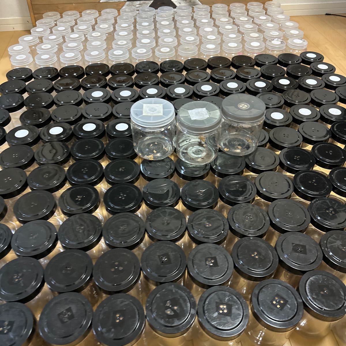 菌糸ボトル　中古品　美品　_3