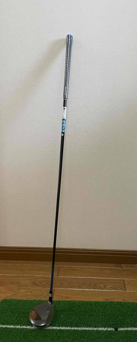 ロイヤルコレクション　ロイコレスターｆｄフェウェイウッド　24°_5