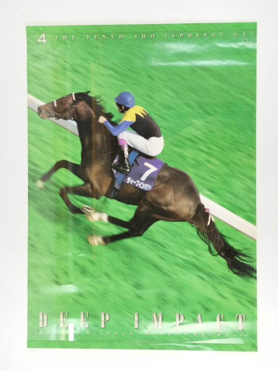 12 ディープインパクト 武豊 A1 84cm x 59cm ポスター 5枚 セット 20