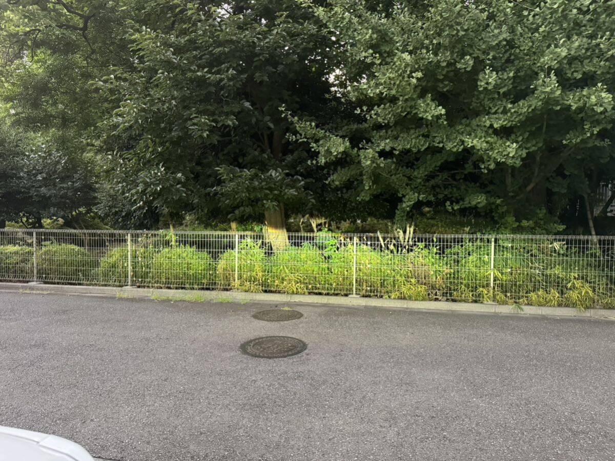 ハイラックス　ヘッドライト　レベライザー_4