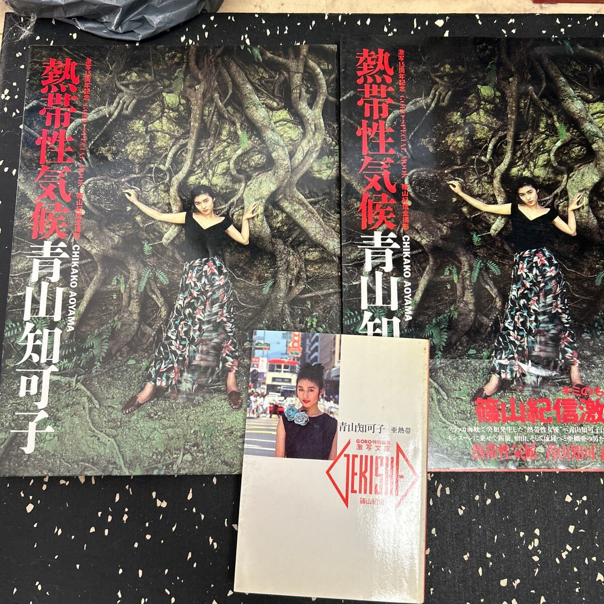 写真集　青山知可子　 熱帯性気候　亜熱帯3冊セット_1