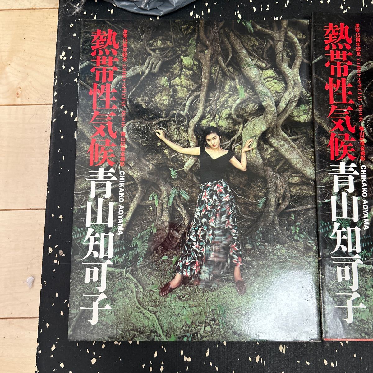 写真集　青山知可子　 熱帯性気候　亜熱帯3冊セット_2