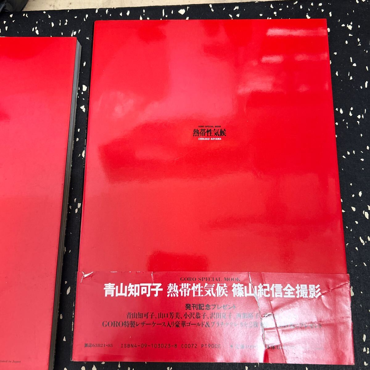 写真集　青山知可子　 熱帯性気候　亜熱帯3冊セット_3