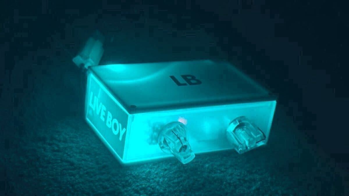 LIVEBOY V3 silent】[Bluetooth] ICEBLUE Y—ユニット バイブラソニック