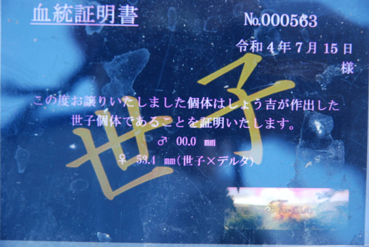 s1169583235.3