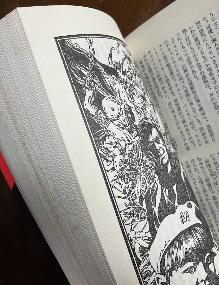 人狼白書　アダルトウルフガイシリーズ６ 平井和正　祥伝社　ノン・ノヴェル　NON NOVEL／250505_4