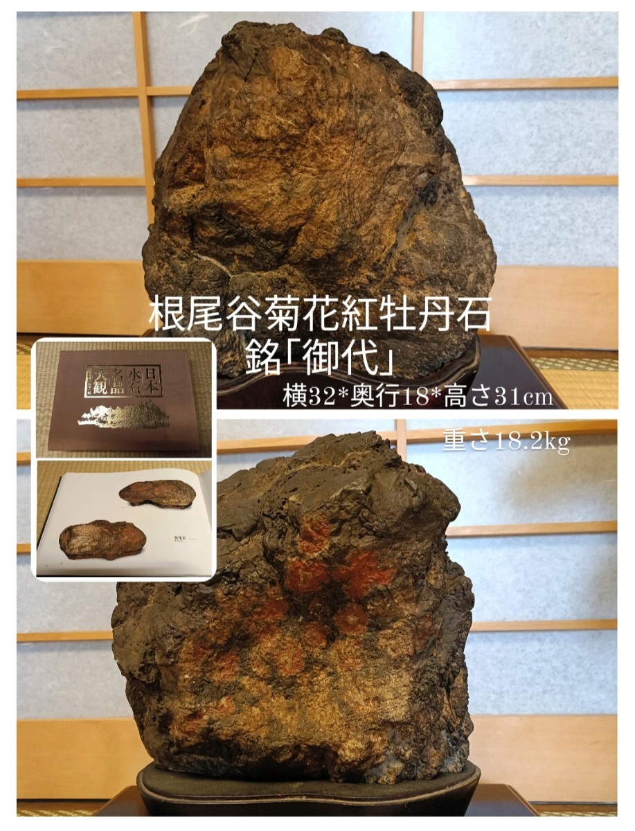 銘【御代】〜日本水石名品大観同種☆天然菊花紅牡丹石☆根尾谷菊花石