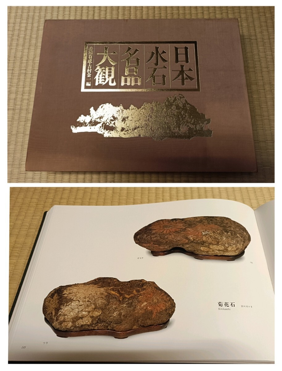銘【御代】〜日本水石名品大観同種☆天然菊花紅牡丹石☆根尾谷菊花石