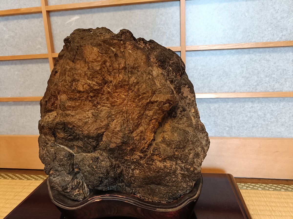 銘【御代】〜日本水石名品大観同種☆天然菊花紅牡丹石☆根尾谷菊花石