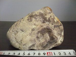 白山紋石の値段と価格推移は？｜2件の売買データから白山紋石の価値が